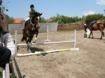 NYERT LOVASUDVAR